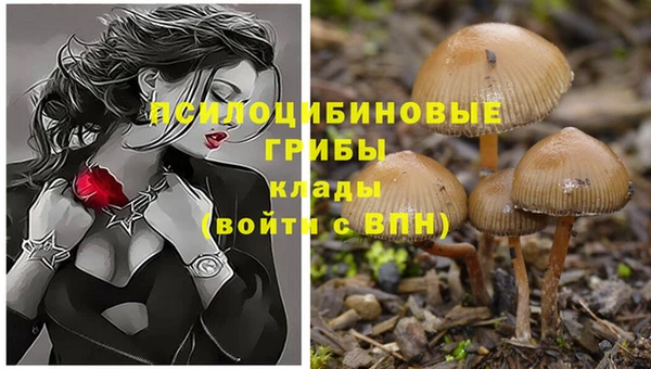 стаф Заволжск