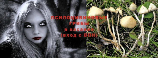 mix Заводоуковск