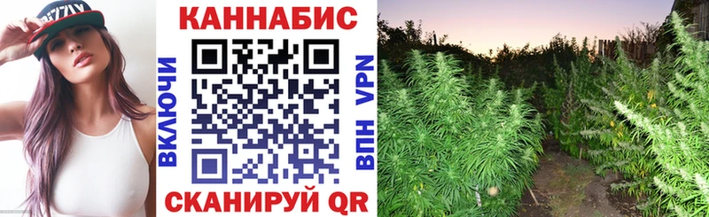 Бошки Шишки марихуана  магазин    Иланский 